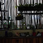 Tulum Banana Hostel