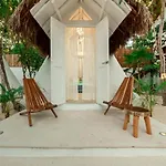 Mimosa Tulum