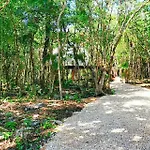 Energy Tulum Adult Lux Villas