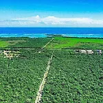 Energy Tulum Adult Lux Villas