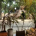 Yoga Shala Tulum