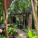 Reflective Jungle Treehouse With Plunge Pool