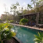 Discover, Explore Y Enjoy Tulum