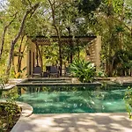Jungle Serenity