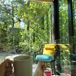 Reflective Jungle Treehouse With Plunge Pool