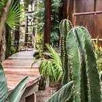 Origen Tulum