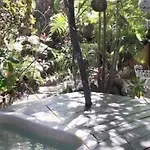 Maya Apartments Tulum