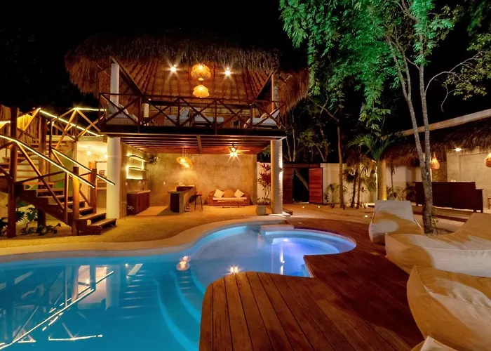 Mimosa Tulum