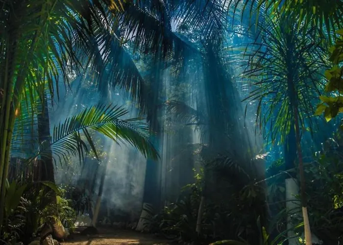 Jungle Beach Tulum
