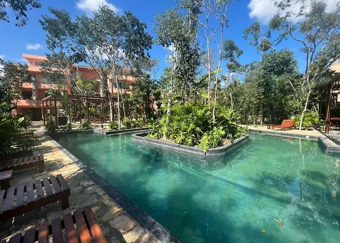 Estudio Completo En La Selva