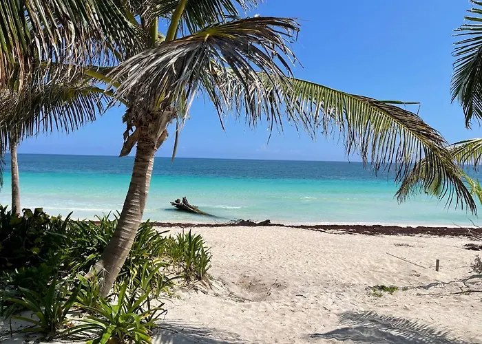 Casa Phoenix Tulum