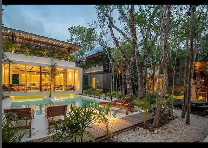 Reflective Jungle Treehouse With Plunge Pool