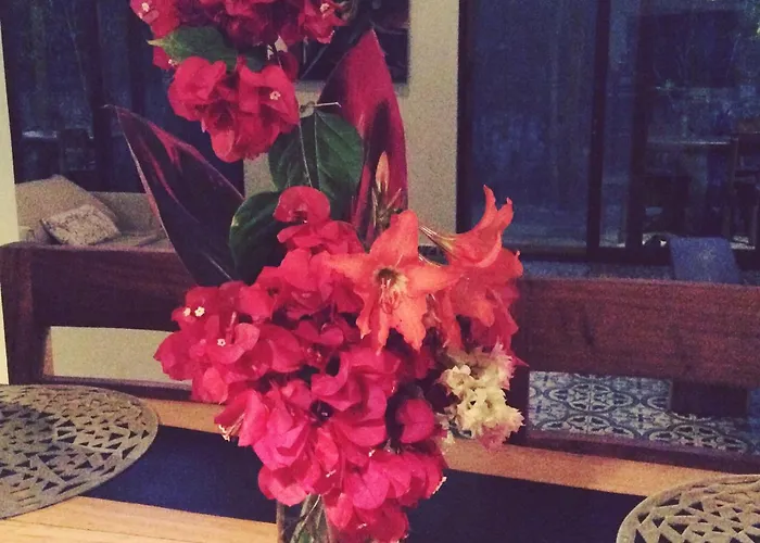 Escarabajo Rojo