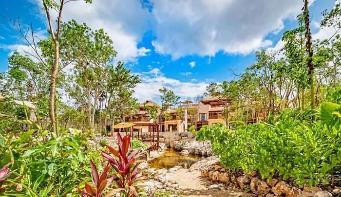 Studio Avec Piscines Et Cenotes Naturelles
