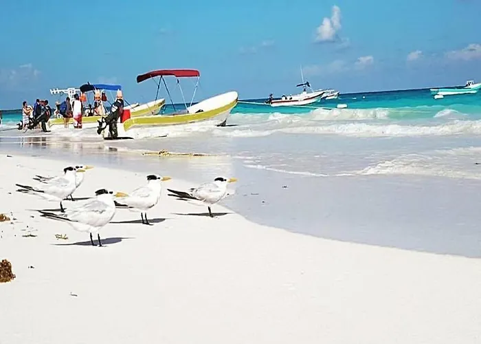 Hippieschic Tulum Mexico Eco Glamping