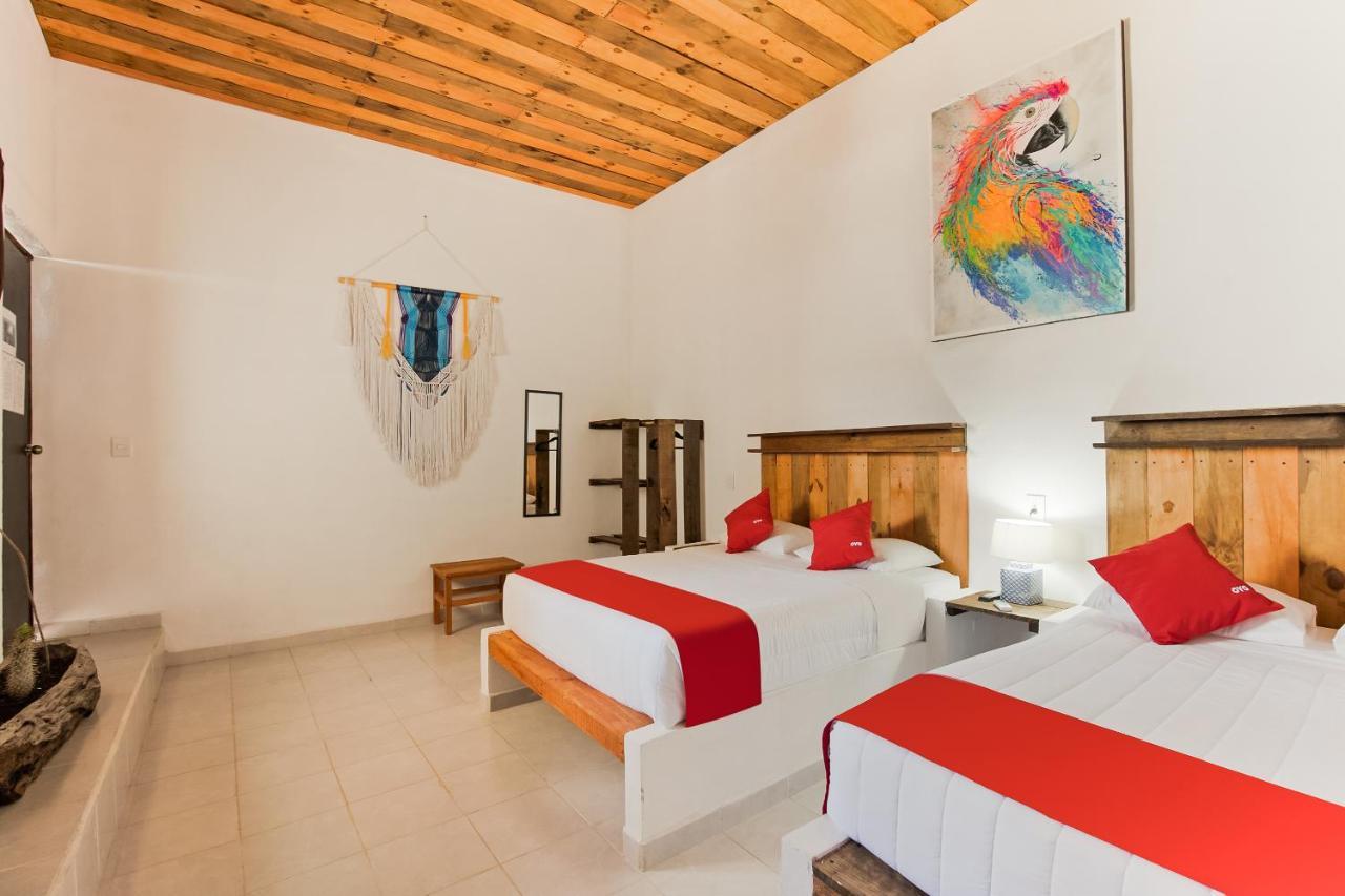 Oyo Jarro Café Hotel