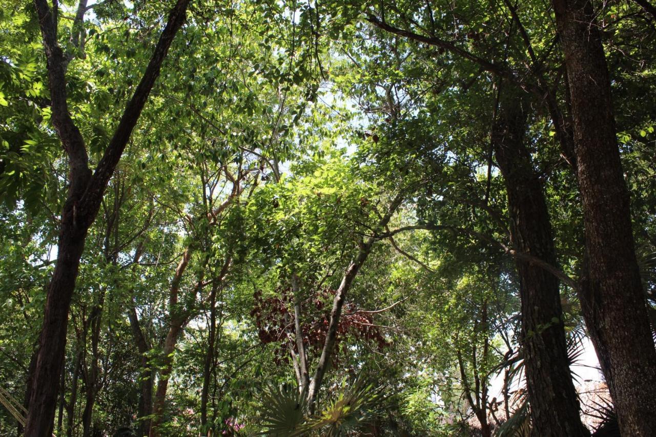 Casita Kuxtal Lodge *
