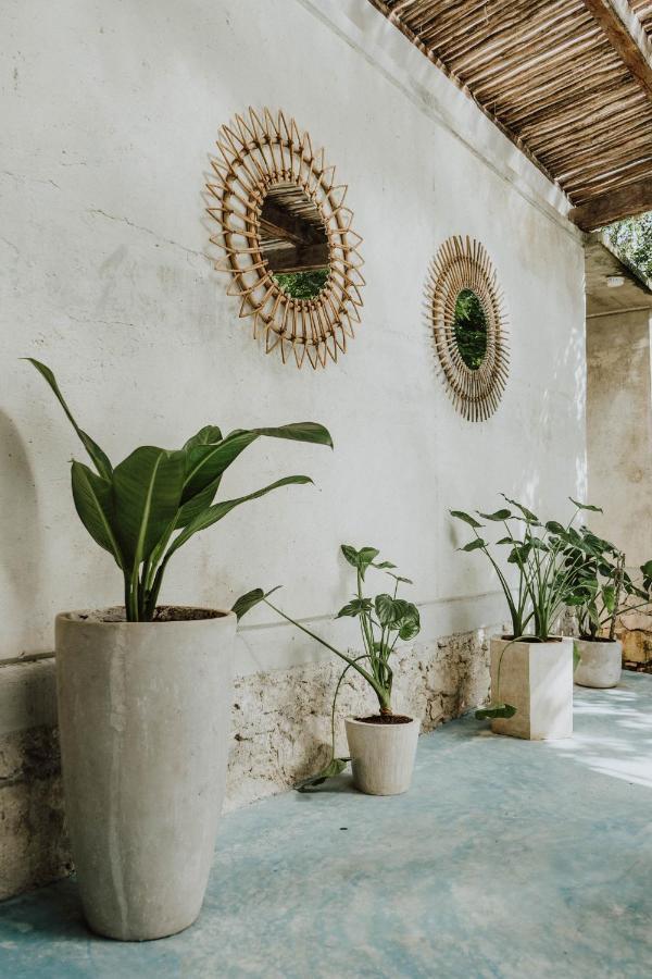 Casa Chimi Hotel *