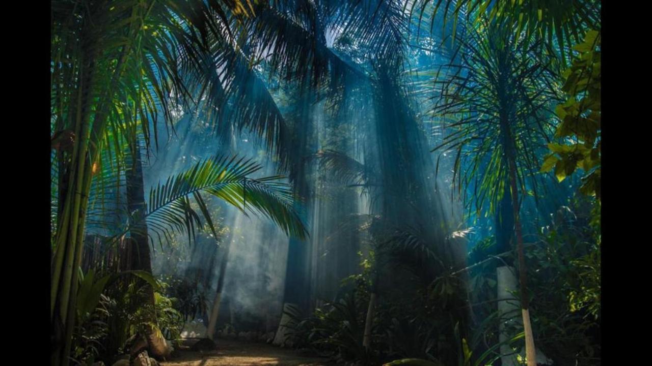 Jungle Beach *