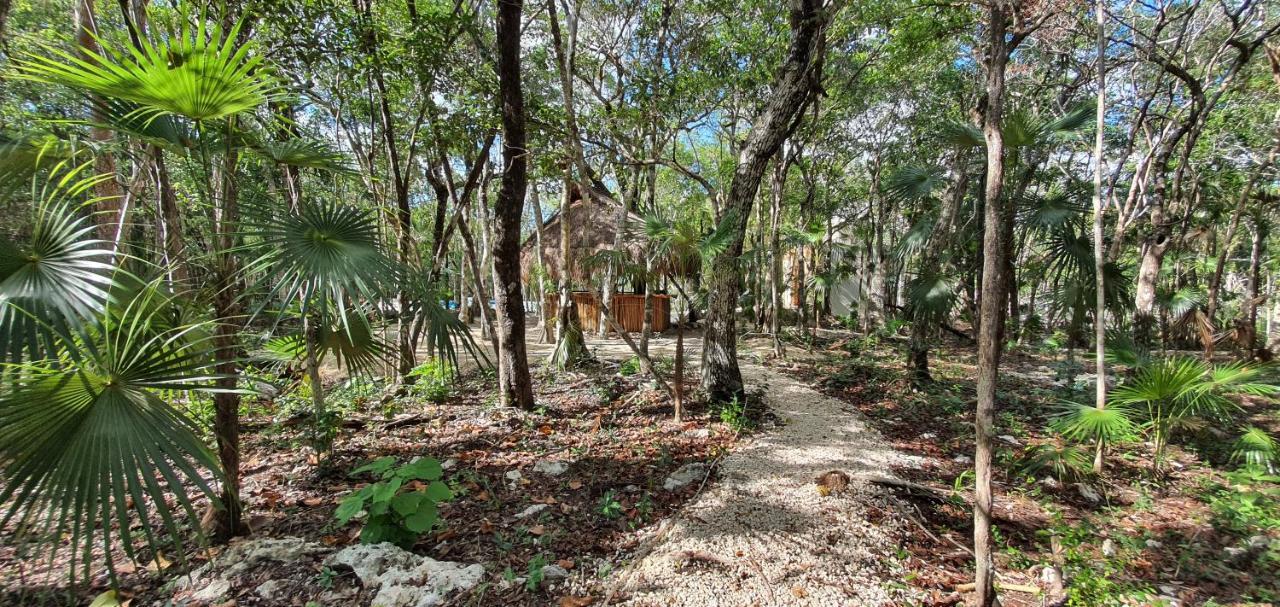 Energy Adult Lux Villas * Tulum