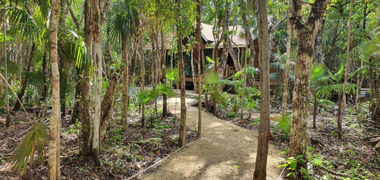 Energy Adult Lux Villas *