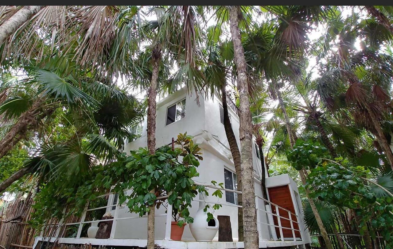 Jungle Beach Tulum