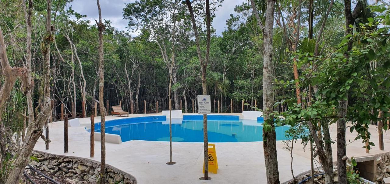 Energy Holistic Ranch Tulum