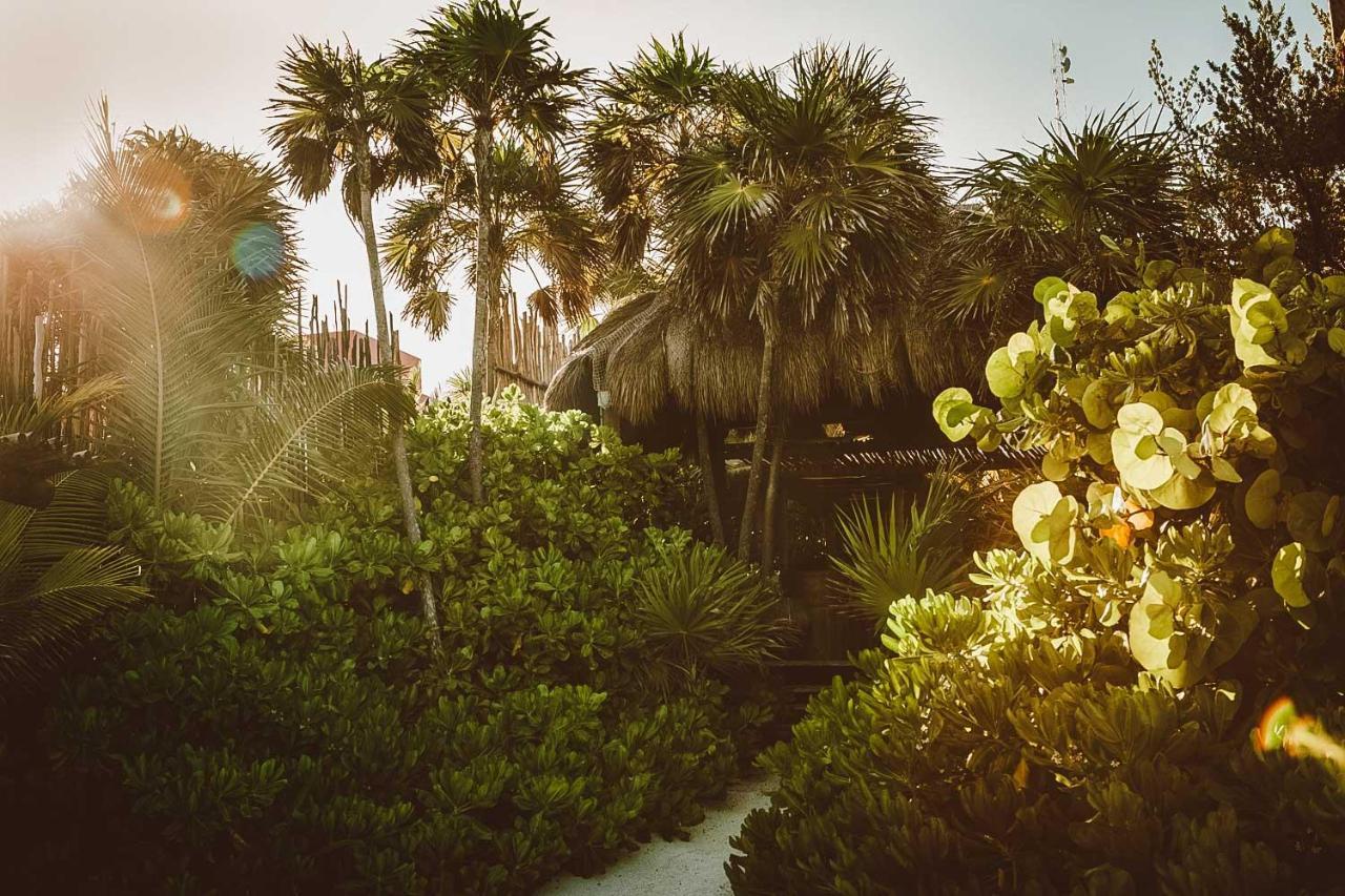 Jashita (adults Only) Tulum