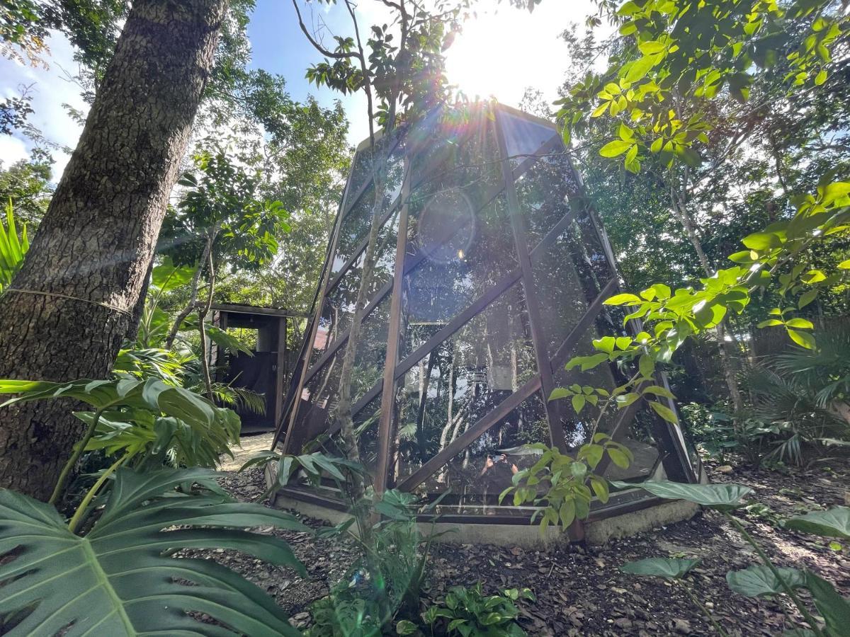 Selvatik - Jungle Pod