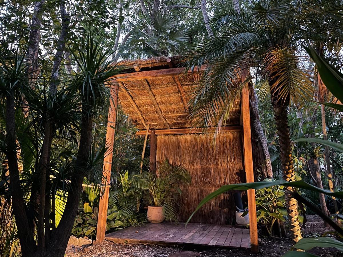 Selvatik - Jungle Pod Hotel Tulum