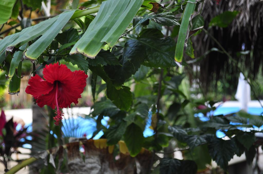 & Gardens 3*