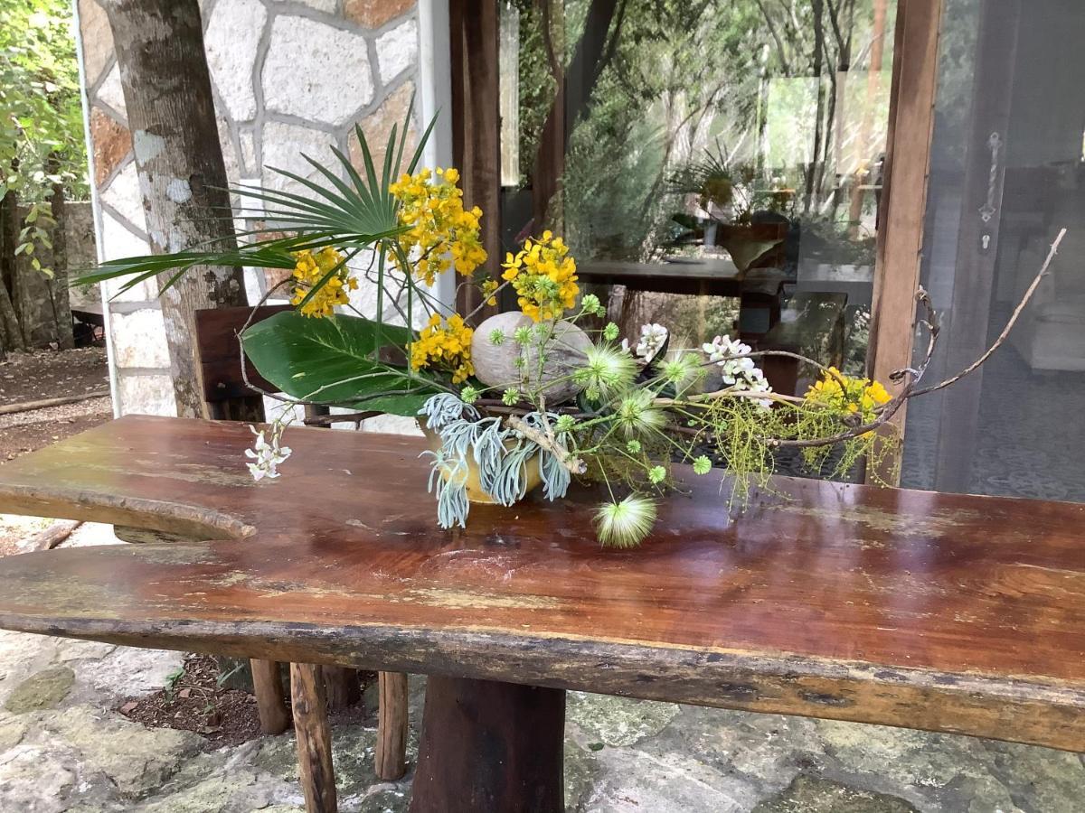 Escarabajo Rojo Bed and breakfast Tulum