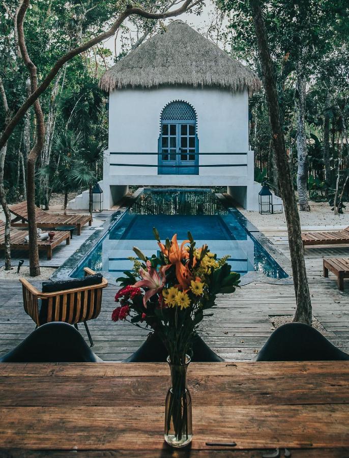 Ambre & Epices Jungle & 4* Tulum