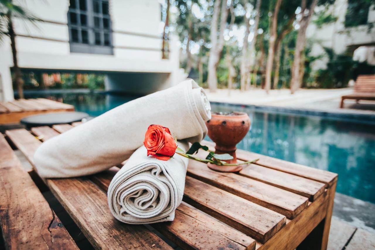 Ambre & Epices Jungle & Hotel