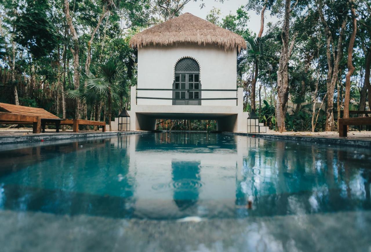 Ambre & Epices Jungle & Hotel