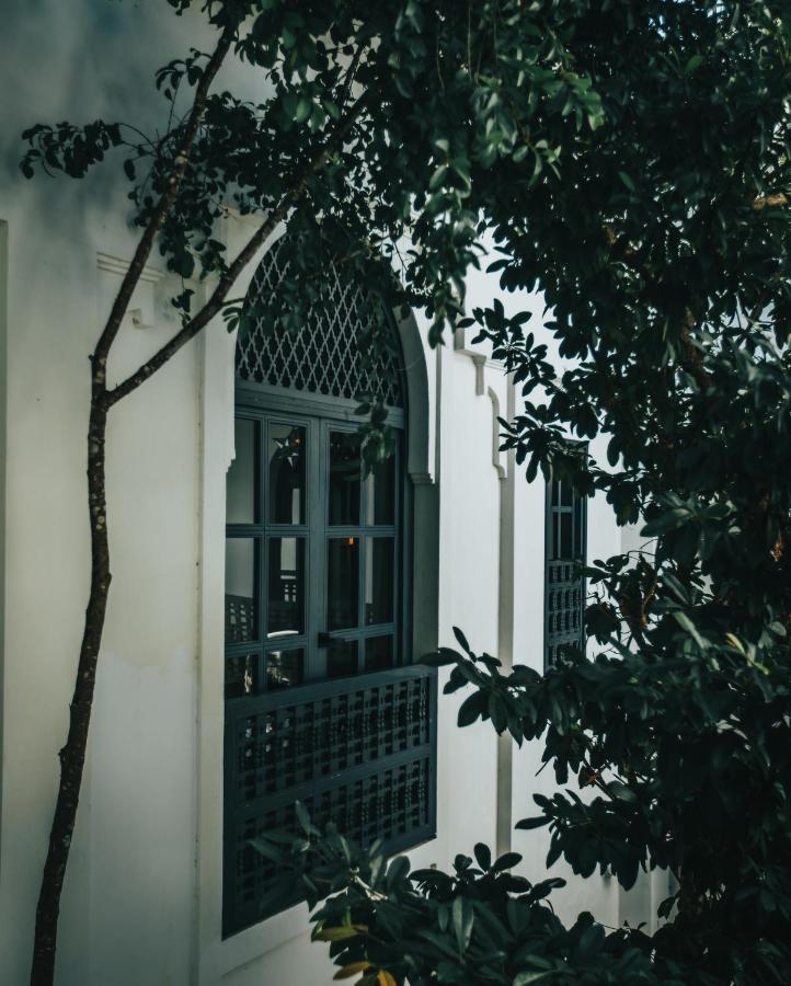Ambre & Epices Jungle & Hotel