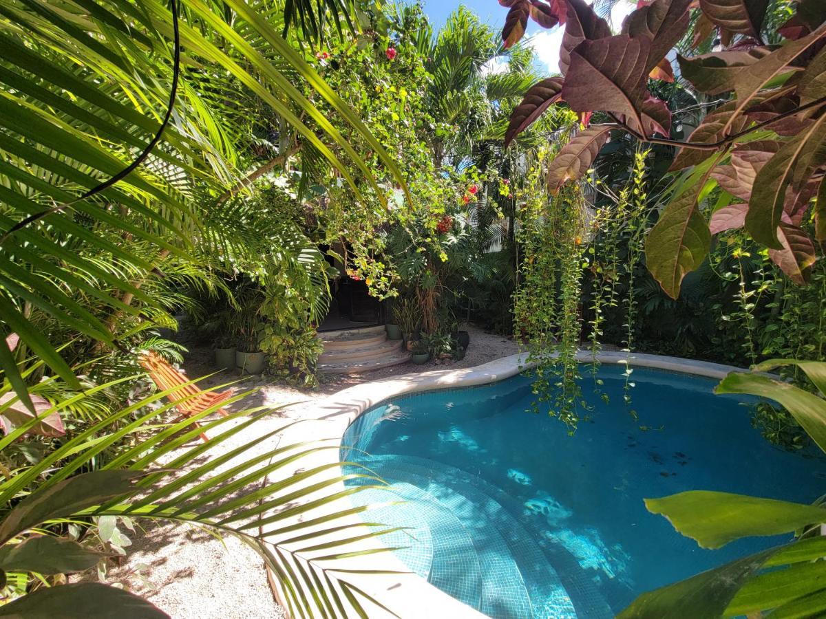 Apartamento The Secret Garden