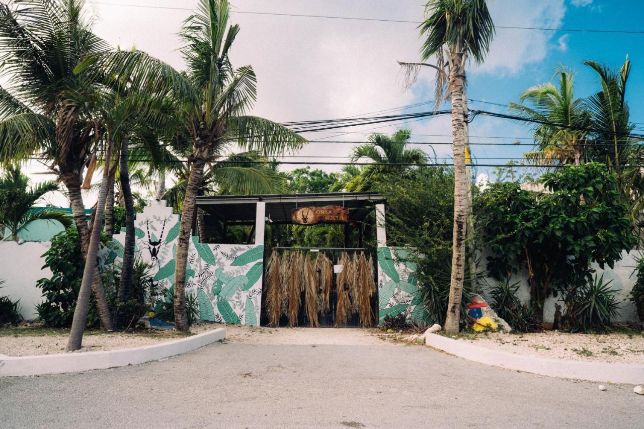 Oryx Hostel *