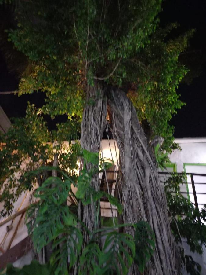 Mundo Maya Hotel