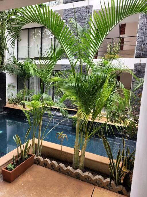 Amazing Jungle Retreat Lahkah Apartamento *