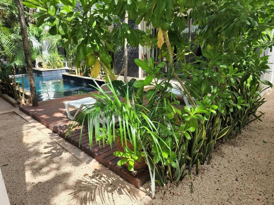 Amazing Jungle Retreat Lahkah * Tulum