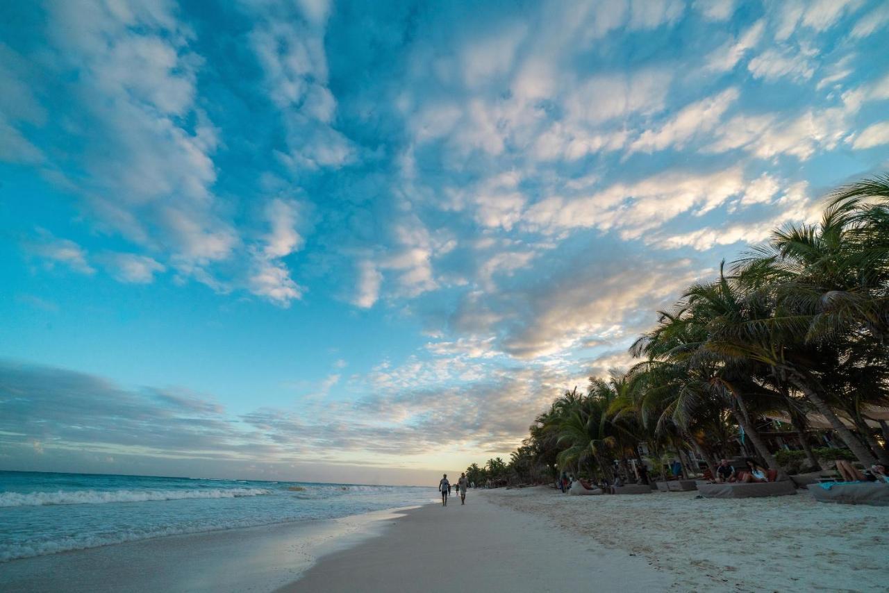 Lirios Tulum