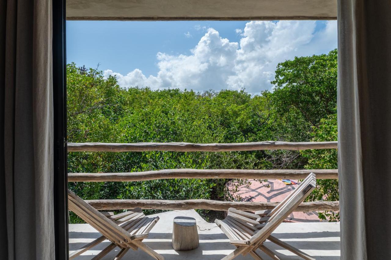 Casa Coyote