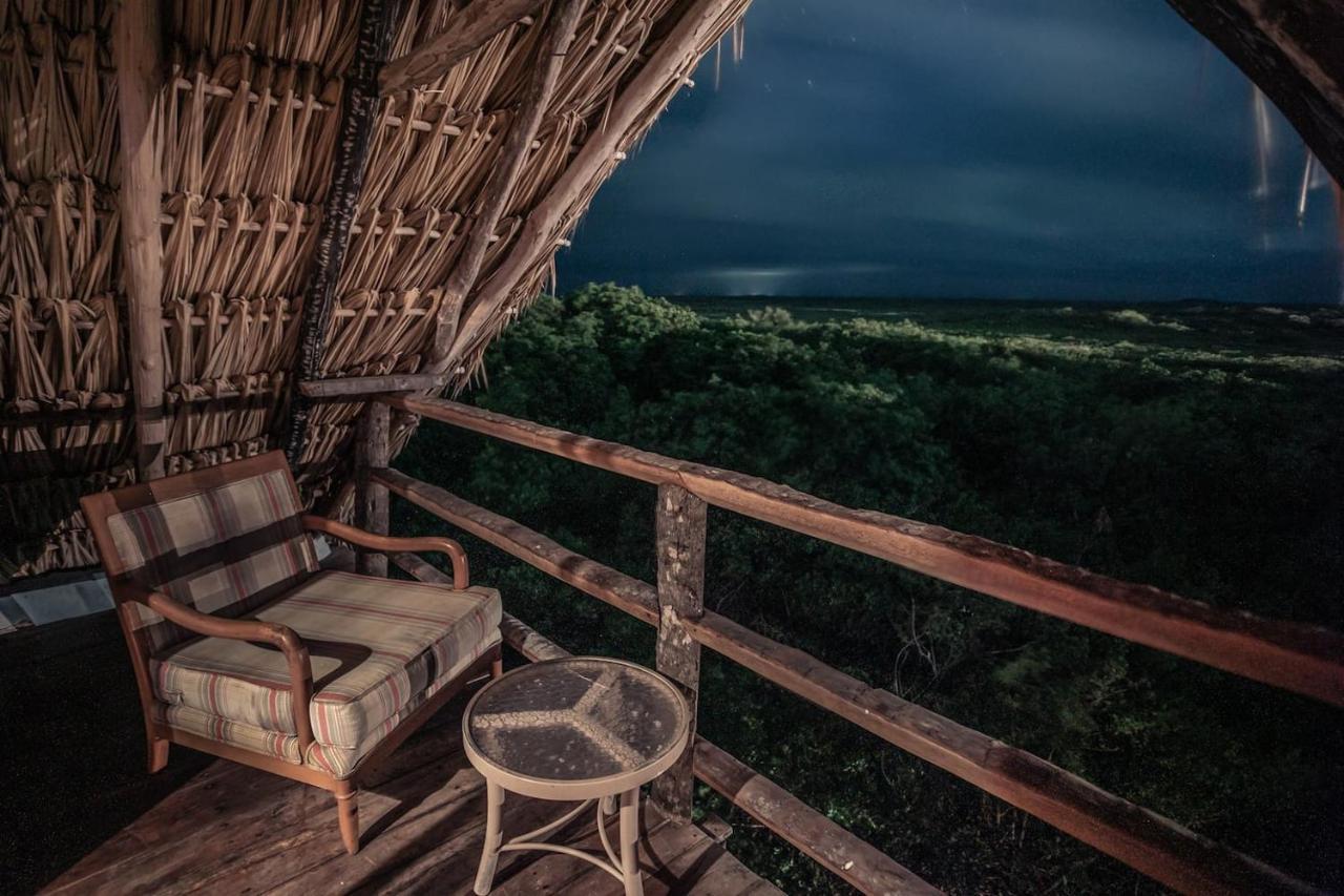 Hidden Treehouse Eco-hotel 4*