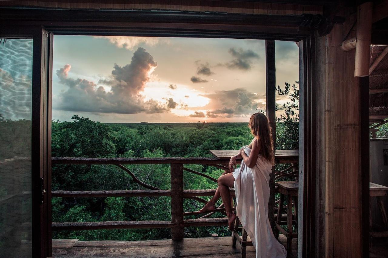 Hidden Treehouse Eco-hotel