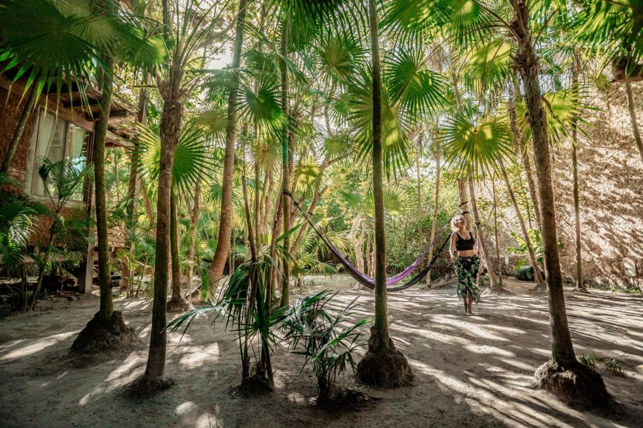 Hotel Hidden Treehouse Eco-hotel 4*