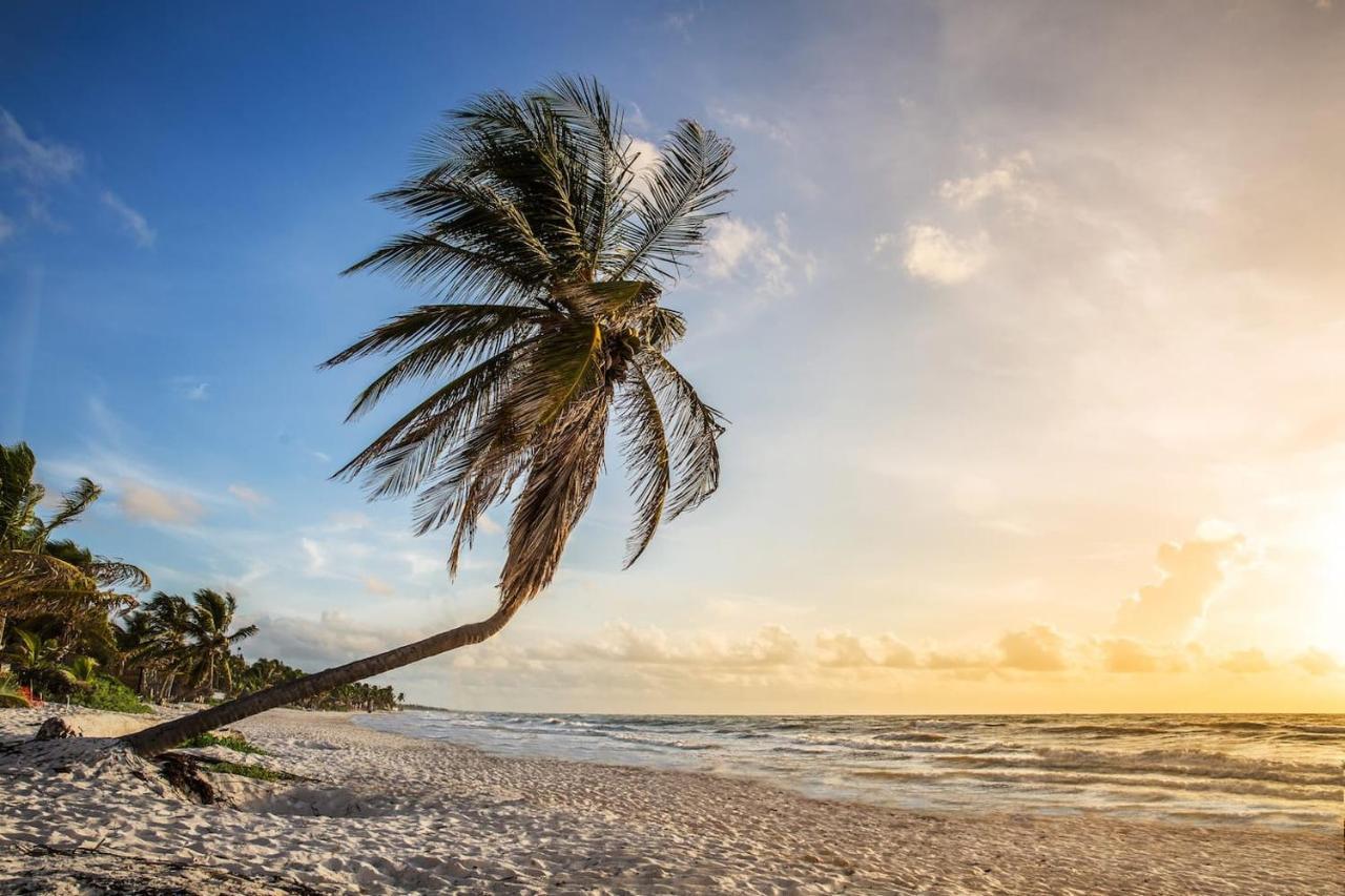 Hotel Hidden Treehouse Eco-hotel Tulum