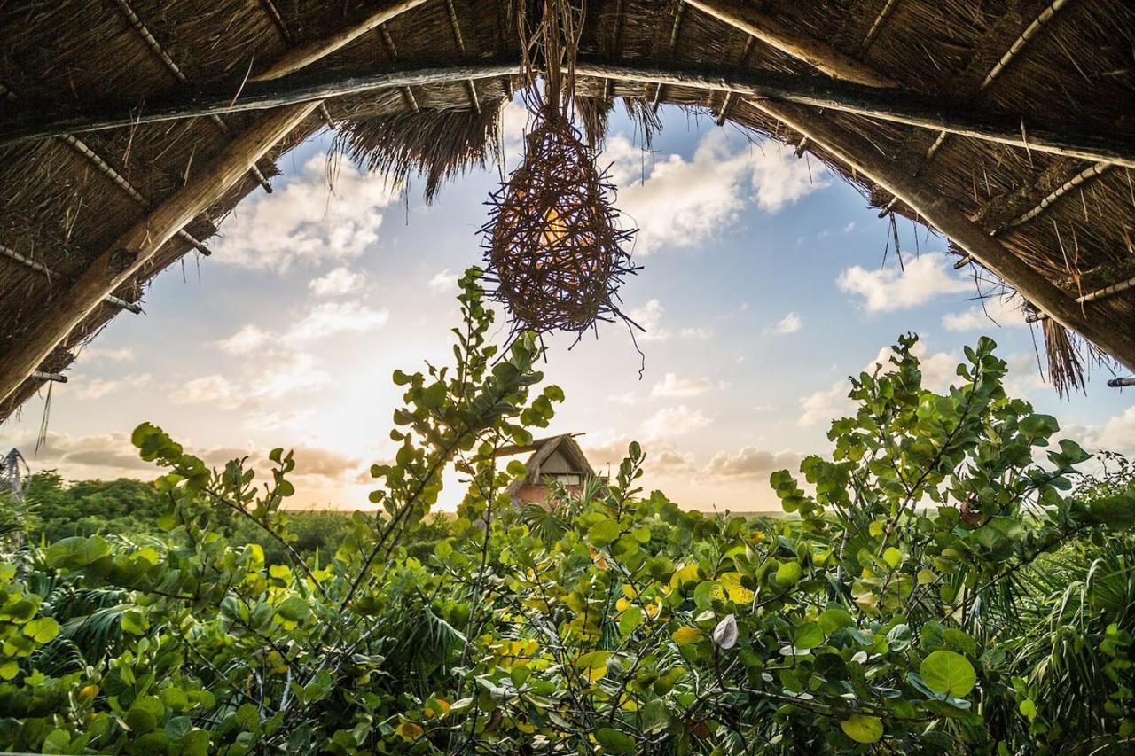 Hidden Treehouse Eco-hotel 4*