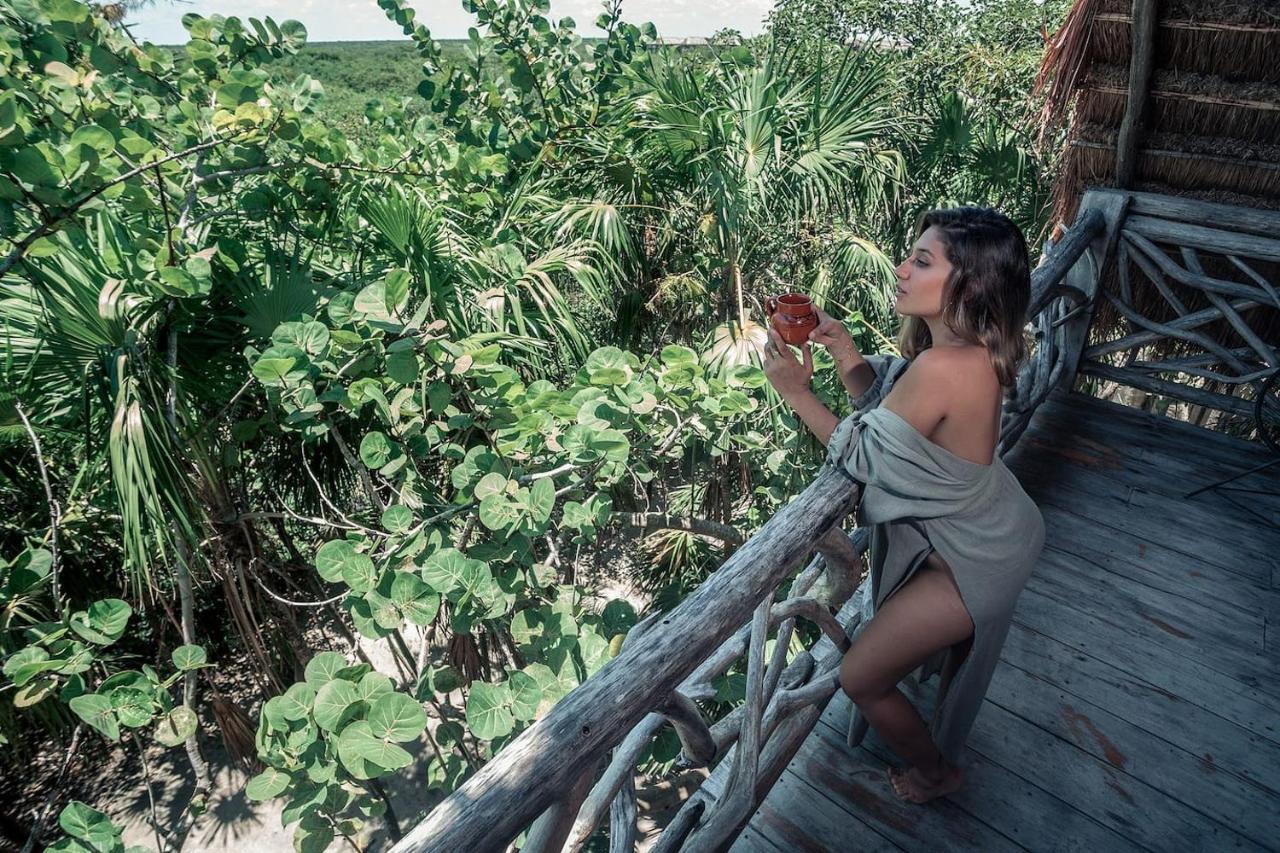 Hotel Hidden Treehouse Eco-hotel
