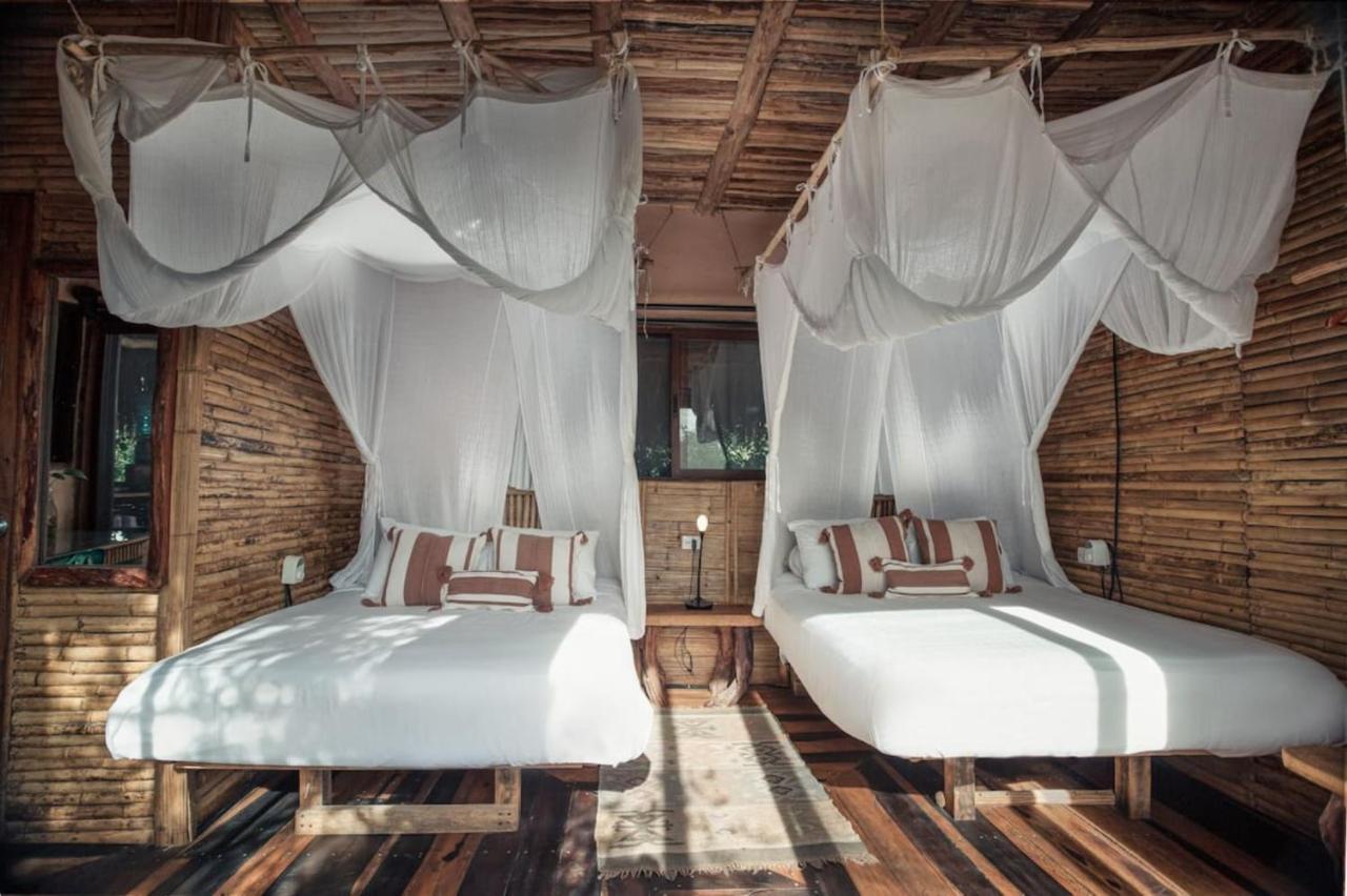 Hidden Treehouse Eco-hotel Hotel